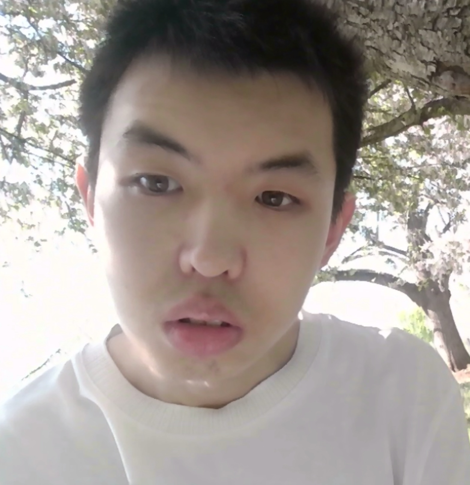 Li